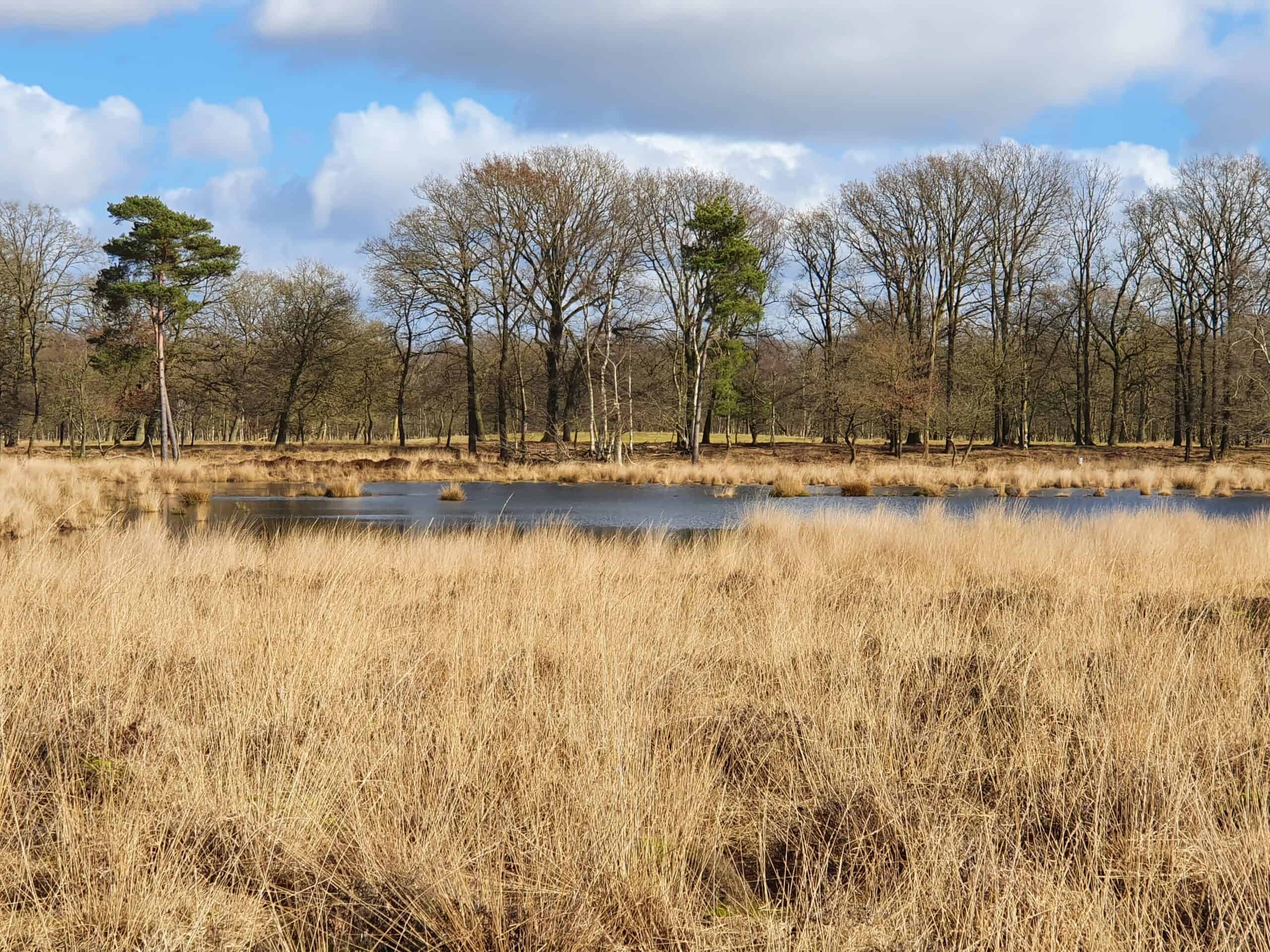 Droneonderzoek in natuurgebied bij Sellingen