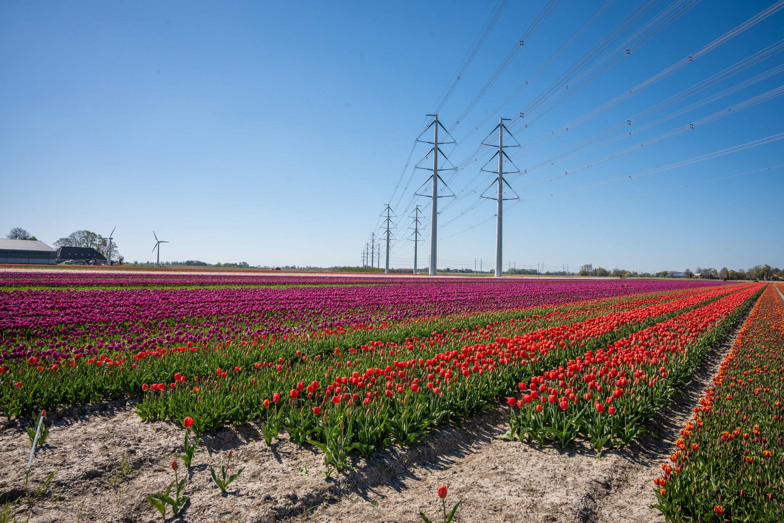 Ontwerp Natuurbeheerplan Groningen 2027 zes weken ter inzage