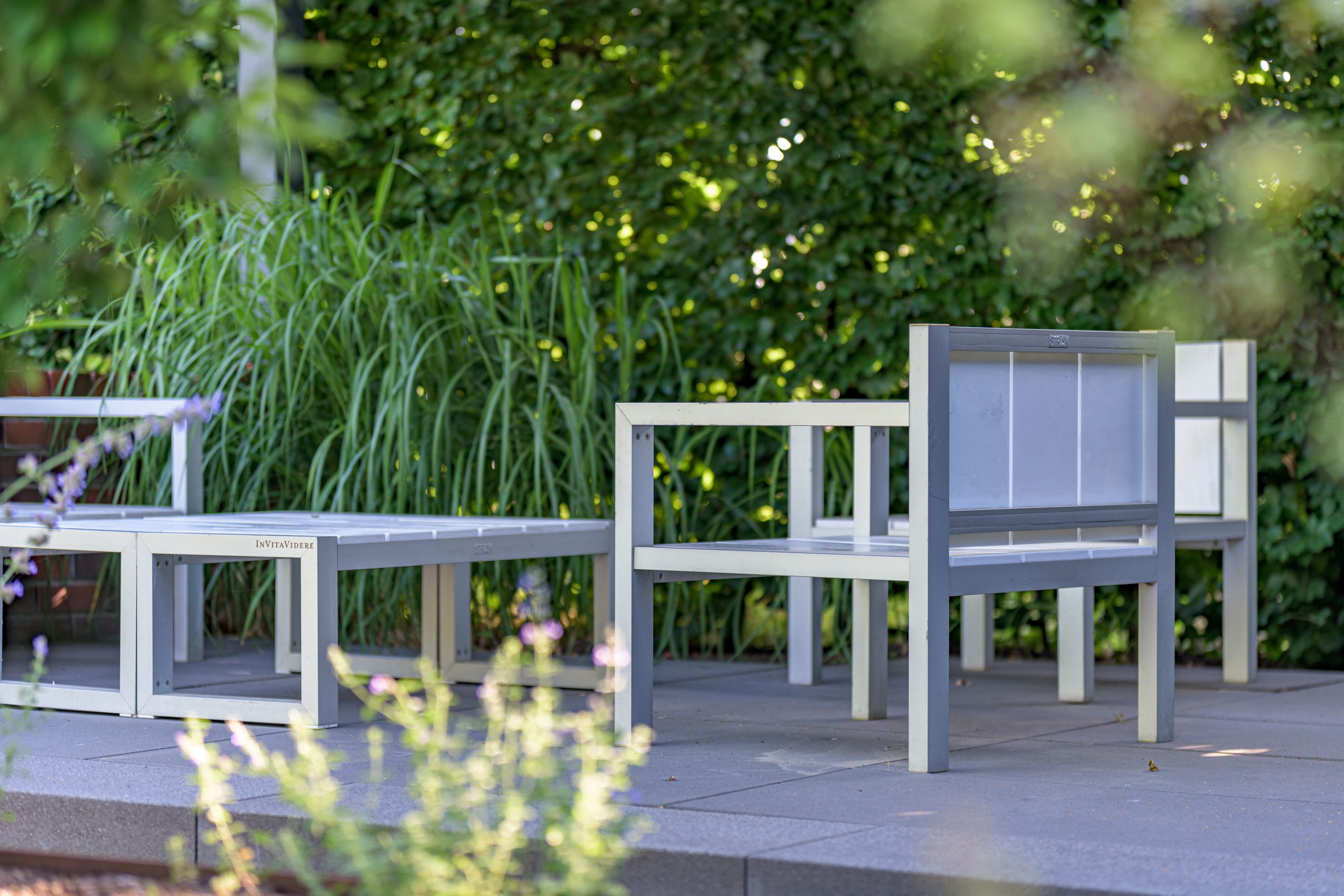 Nazomer in de tuin: zo haal je het meeste uit de laatste warme weken in Groningen